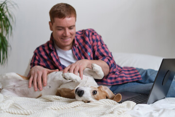 Delighted dog and owner sharing a tender moment, as man pauses from working on his laptop to give...
