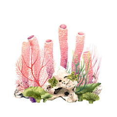 Colourful coral reef underwater scene. Watercolor illustration isolated on white