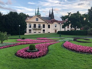 Prague castle gardens with pink flowers