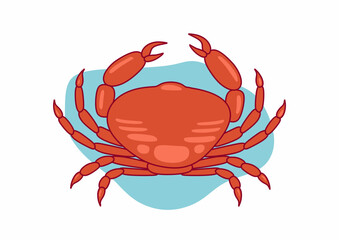 Hand drawn flat design crawfish illustration. Cancer animal Isolated on white background.