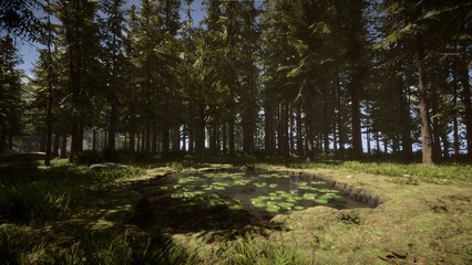 Beautiful forest and mountain scene
