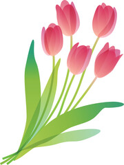 透明感のあるチューリップの花束