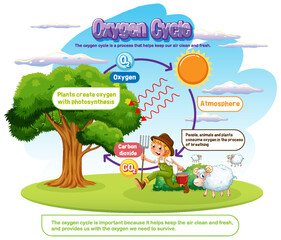 Oxygen Cycle Diagram for Science Education