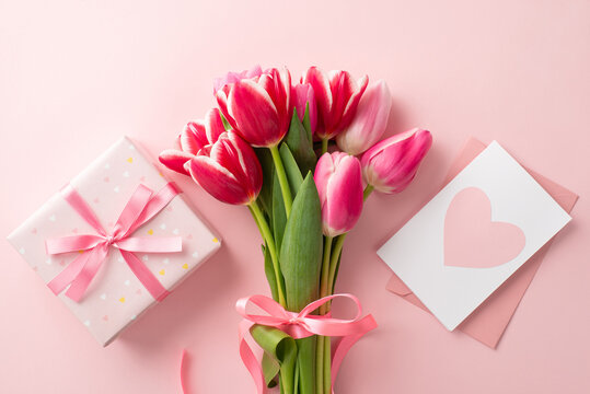 Mother's Day celebration concept. Top view photo of bouquet of pink tulips giftbox with ribbon bow and envelope with postcard on isolated pastel pink background