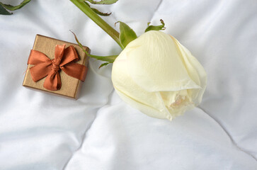Beige rose on a white background with a gift.