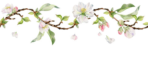 Hand drawn watercolor apple flowers, branches and leaves, white, pink and green. Seamless horizontal banner. Isolated on white background. Design for wall art, wedding, print, fabric, cover, card.