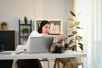 Happy young woman playing her fluffy gray cat lying on desk at home office. Love, friendship and pets concept