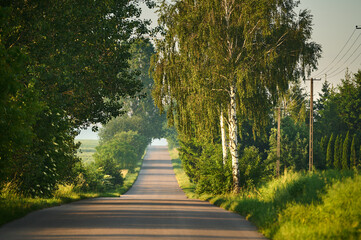 Obraz premium An asphalt paved road off the beaten track of a town between trees and fields