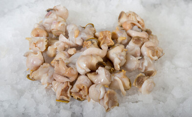 Periwinkle on ice, 