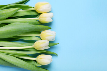 Beautiful yellow tulips on light blue background, flat lay. Space for text