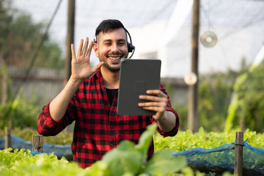 Vendor sell veggies online via live streaming by giving client information and answering questions about freshness, price, and availability. Attentiveness, commitment, and trust of small businesses.