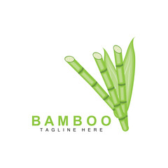 Bamboo Logo, Green Plant Design, Nature Tree Vector, Illustration Icon