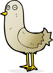 cartoon bird