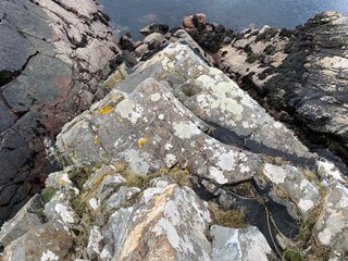 Different coloured lichen on waterfront stones.