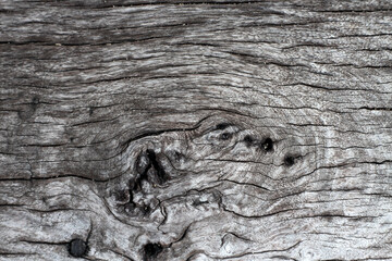 wood, texture, wooden, old, plank, pattern, timber, board, textured, brown, wall, surface, rough, material, floor, hardwood, weathered, tree, nature, backgrounds, grain, panel, natural, aged, backdrop