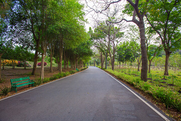 Long walking and running paths shaded by mature trees in the park
