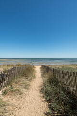 Fototapeta na wymiar Ile d’Oléron (Charente-Maritime, France), chemin d’accès à la plage de La Brée les Bains