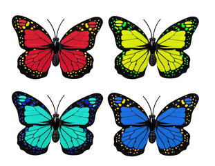Fototapeta na wymiar Collection of colourful butterfly isolated on white background top view. Butterfly insects as an element for design.