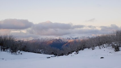Beautiful snowy landscape at dusk with clouds and snow caped mountains in the background in the victorian alpine high country in Australia in winter
