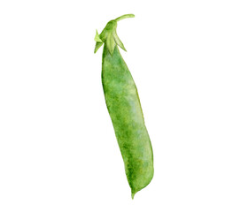 Watercolor illustration of green peas, isolated on white background