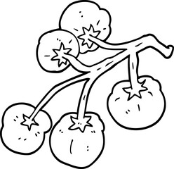 line drawing cartoon tomatoes on vine