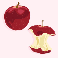 Whole apple and core. A bitten apple. Healthy fruits and natural products. Diet food.