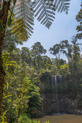 Milla Milla Falls, Atherton Tablelands, Queensland, Australia.