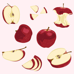 Apple icons in vector. Red apples whole and cut into different slices and pieces. Useful fruits and natural products.