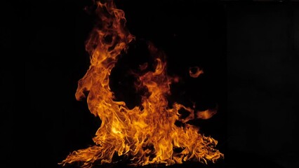 The fire, burning flame. Large burning flaming fire, blaze burning fire flame. Slow motion.