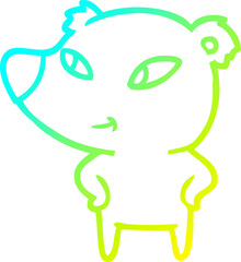 cold gradient line drawing cute cartoon bear
