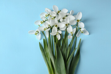 Fototapeta premium Beautiful snowdrops on light blue background, flat lay