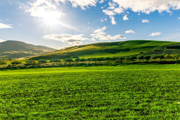 Fototapeta na wymiar Scenic view at beautiful spring sunset in a green shiny field with green grass and golden sun rays, deep blue cloudy sky on a background , forest and country road, summer valley landscape