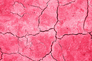 The texture of dry, cracked earth. Demonstrating the colors of 2023 Viva Magenta.