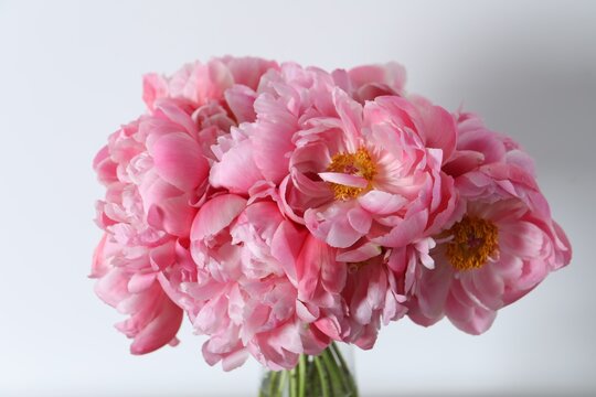Beautiful bouquet of pink peonies in vase against white background, closeup