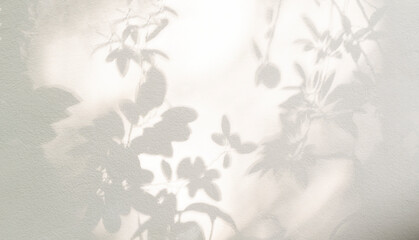 Leaf shadow and light on wall beige background. Nature tropical leaves plant and tree branch shade...