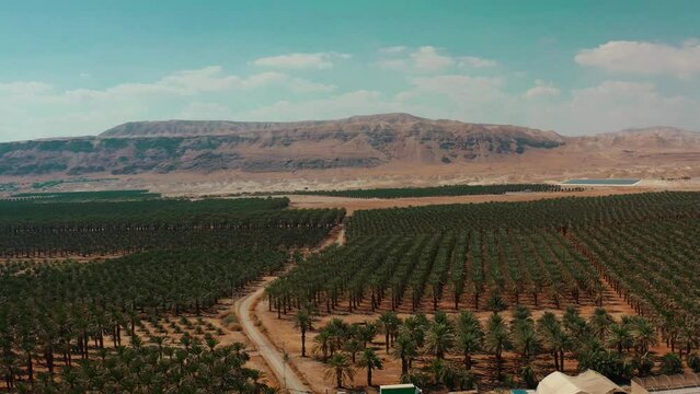 Drone shot in Negev desert Israel where farm land is growing without water near mountains drip irrigation start up nation