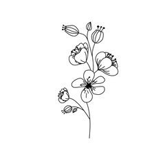 Vector linear hand drawn decorative flowers black and white botanical illustrations. PNG