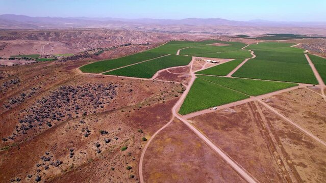 Aerial rotating shot of luscious green vineyards within the valley of the Limari Mountains
