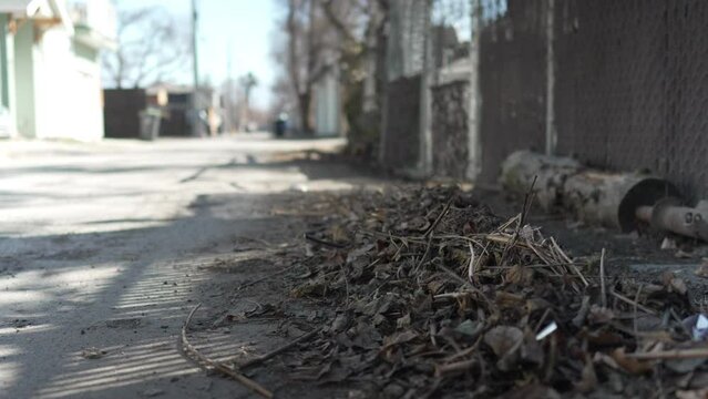 Dead leaves on the ground in an alley