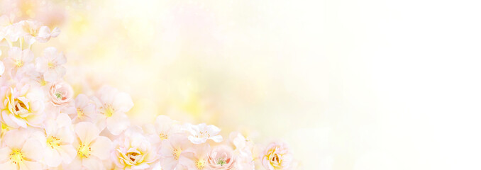mix of flower in soft romance yellow background for header or banner design with copy space