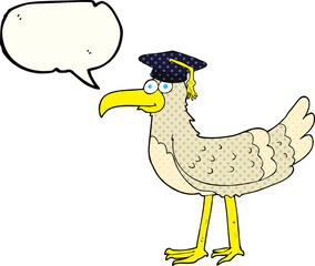 comic book speech bubble cartoon seagull with graduate cap