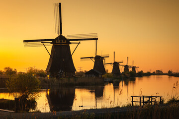 Morning among the windmills in Kinderdijk - one of the most characteristic places in the Netherlands. The beautiful spring adds charm to this place.