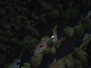 Cars driving through a forest