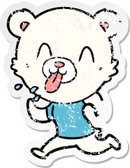 distressed sticker of a rude cartoon polar bear sticking out tongue