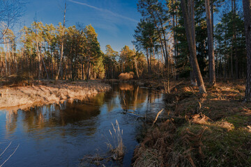 Mała, nieuregulowana rzeka płynąca przez las. Jest wczesna wiosna, czas roztopów, poziom wody...