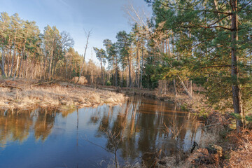 Mała, nieuregulowana rzeka płynąca przez las. Jest wczesna wiosna, czas roztopów, poziom wody jest wysoki. Brzegi pokryte są żółtą, suchą trawą.