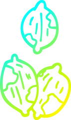 cold gradient line drawing cartoon nuts in shells