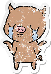 distressed sticker of a cartoon pig crying