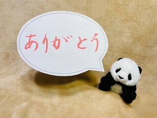 ありがとうパンダ