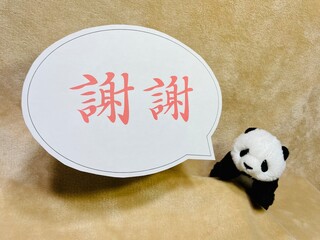 謝謝パンダ